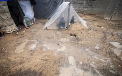 বৃষ্টি ঠাণ্ডায় দুর্ভোগে গাজার বাস্তুচ্যুত মানুষ