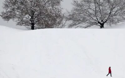 তুষার-শুভ্র ইউরোপ