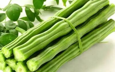 রোগ প্রতিরোধ ক্ষমতা বাড়ায় সজনে ডাঁটা 