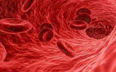 রক্তশূন্যতা দূর করতে কী করবেন