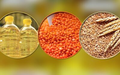 ৪২৪ কোটি টাকার তেল-ডাল-গম কিনছে সরকার